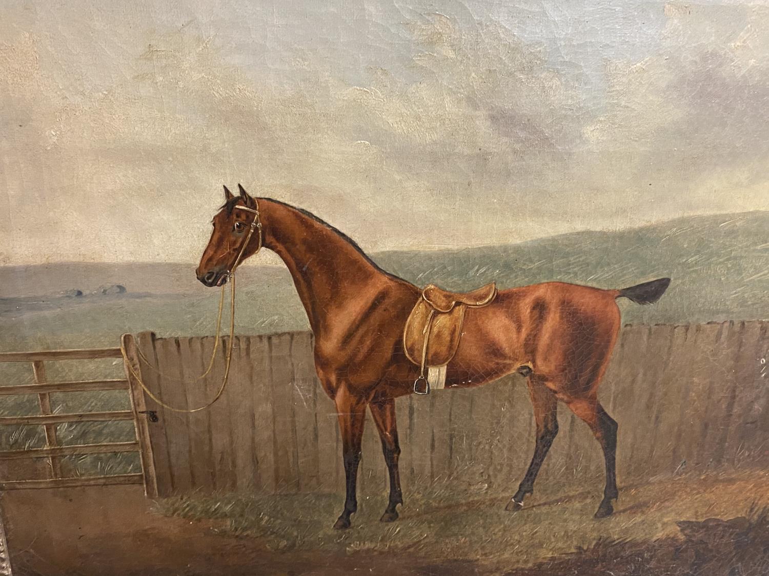 R P NODDER (ACT. 1795-1820), Oil on canvas, "Saddled bay hack by a gate" signed lower left, dated - Image 5 of 9