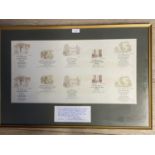 Proof sheet of wine labels, framed and glazed