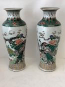Pair tall slender white ground Chinese vases with floral and exotic bird decoration and green