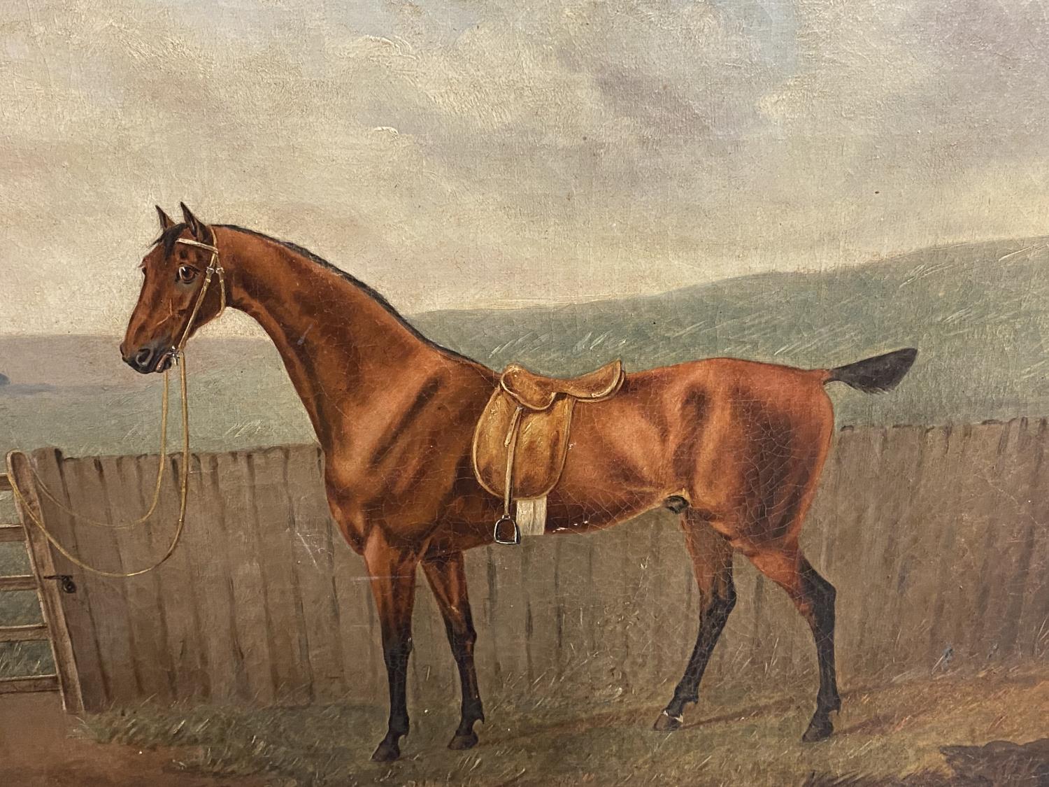 R P NODDER (ACT. 1795-1820), Oil on canvas, "Saddled bay hack by a gate" signed lower left, dated - Image 4 of 9