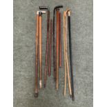 Quantity of walking and other canes; two leather showing canes, yellow metal banded vintage cane,