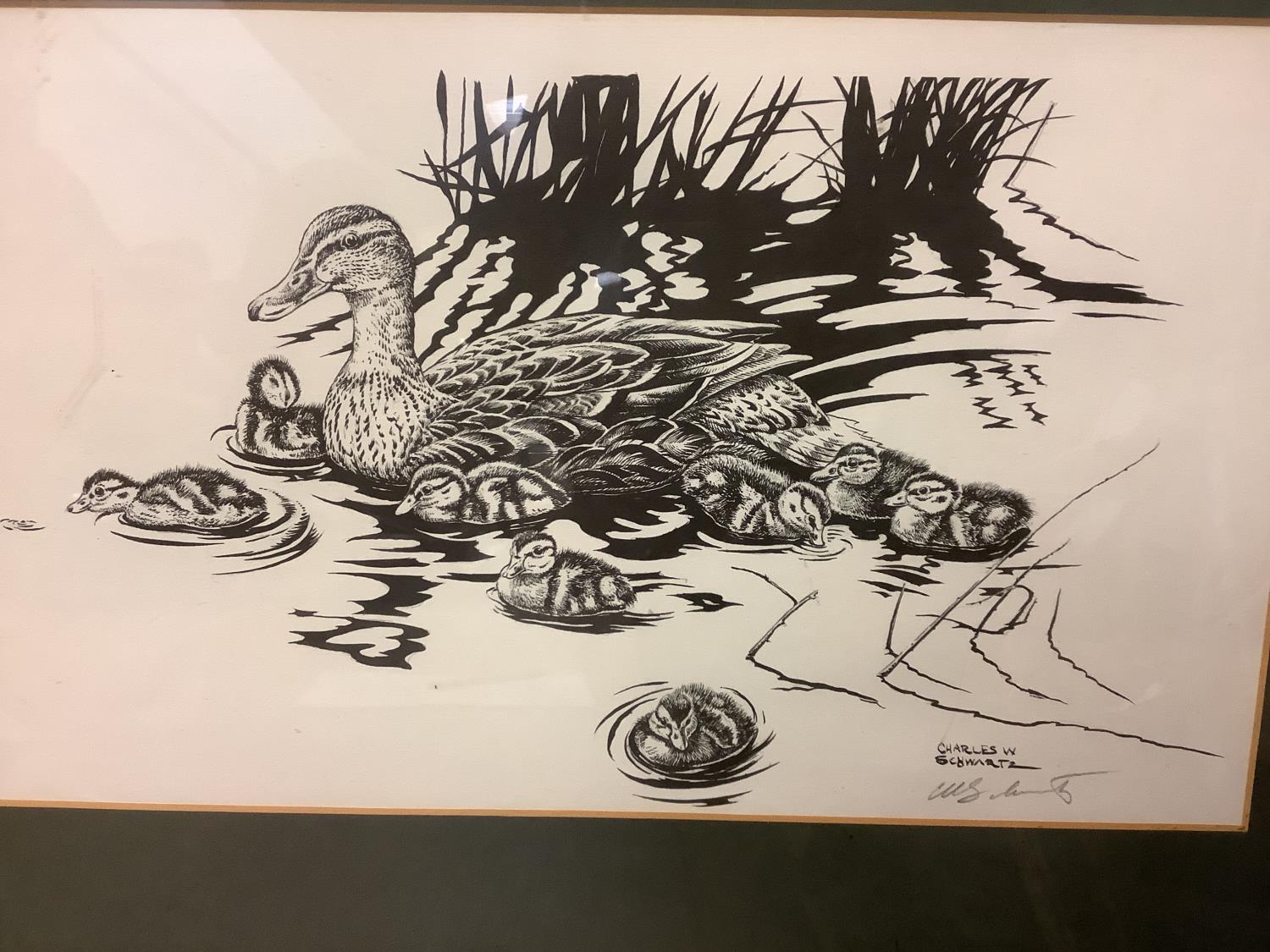 After Charles Schwartz Set of 3 black and white prints "partridges, ducks & racoons" each signed - Image 4 of 5