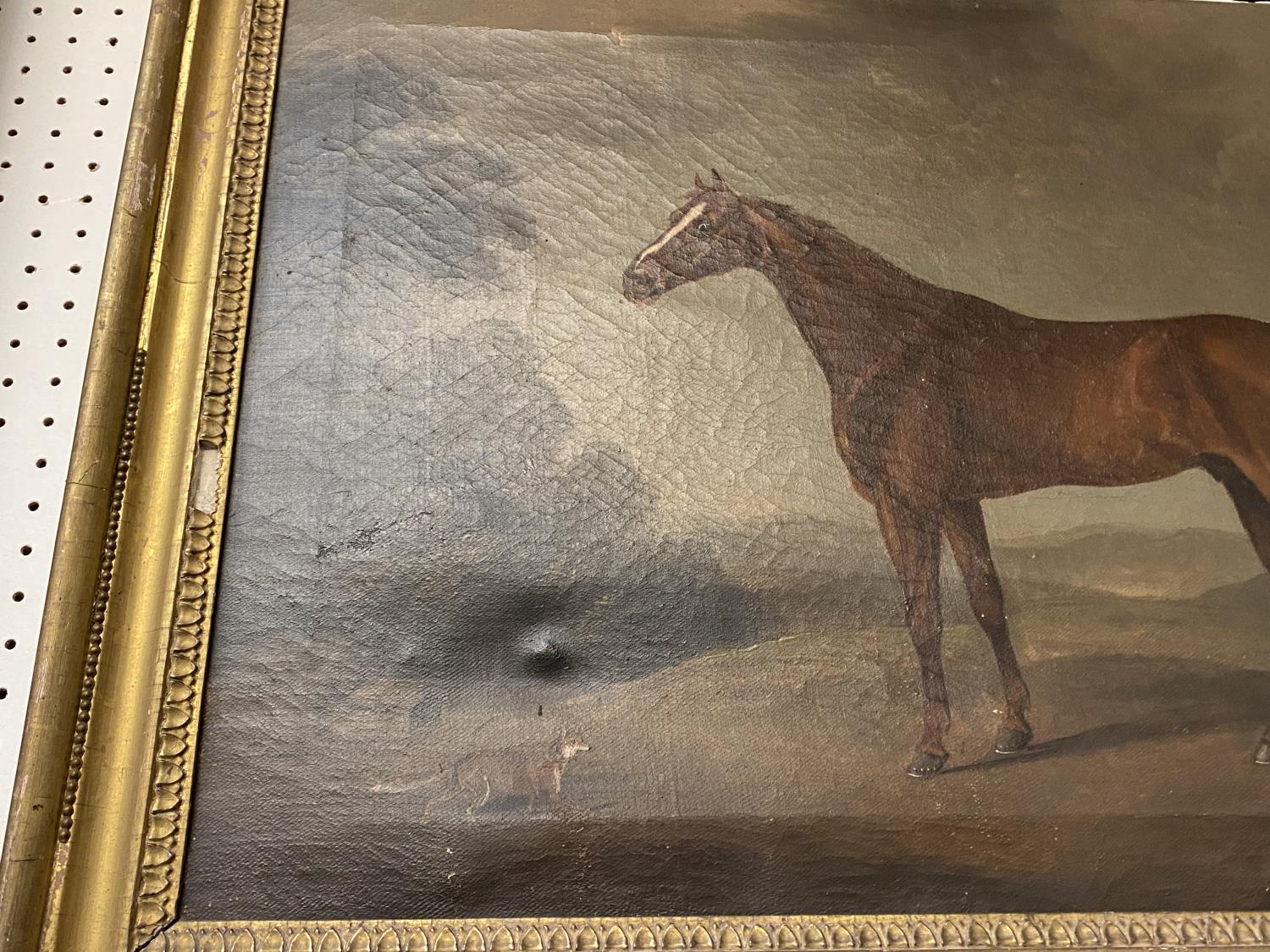 CHARLES BRANSCOMBE (ACT 1803-1819) Oil on canvas "Chestnut hunter and fox. Signed lower right - Image 3 of 12