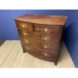 Early Victorian bow front chest of 2 short over 3 long graduated drawers with brass drop handles