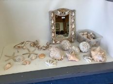 Quantity of African and Caribbean shells, including Conch shells, and a shell embellished wall