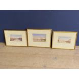 W C P MEDLYCOTT, {1831-1887) set of 3 watercolours Philae, 13 x 21cm, Luxor Thebes & Assouam below