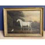 CHARLES BRANSCOMBE (ACT 1803-1819) Oil on canvas - "Grey cob and dog " 43 x 62 in gilt frame (