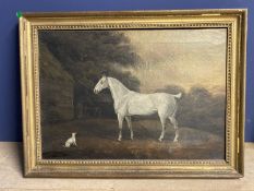 CHARLES BRANSCOMBE (ACT 1803-1819) Oil on canvas - "Grey cob and dog " 43 x 62 in gilt frame (