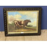 Oak framed oil painting study of bull in a meadow 29 x 38.5