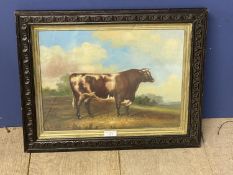 Oak framed oil painting study of bull in a meadow 29 x 38.5