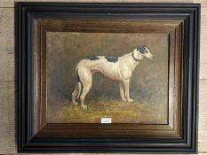 Framed oil painting study of a greyhound 31 x 41