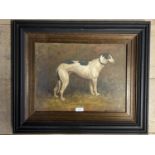 Framed oil painting study of a greyhound 31 x 41
