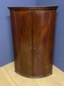 George III mahogany cylinder front hanging cupboard, double doors green painted interior of 3