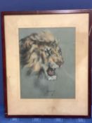 RAMOND JOHN VANDENBURGH (1889-?), coloured chalk on paper "Head of a lion", signed lower middle,