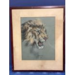 RAMOND JOHN VANDENBURGH (1889-?), coloured chalk on paper "Head of a lion", signed lower middle,