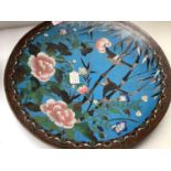 C19th Japanese large Cloisonne circular charger decorated with butterflies & birds & flowers on blue