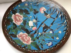 C19th Japanese large Cloisonne circular charger decorated with butterflies & birds & flowers on blue