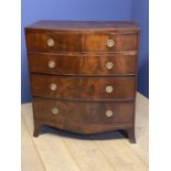 Regency mahogany bow front chest of 2 short over 3 long graduated drawers with brass ring drop