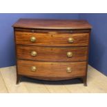 Regency mahogany bow front chest of 3L graduated drawers with brass drop handles below a slide on
