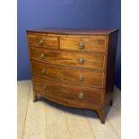 Good Sheraton satinwood cross banded mahogany bow front chest of 2 short over 3 long graduated
