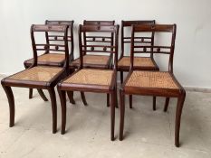 Set of 6 Regency mahogany cane seat sabre leg dining chairs Condition. Generally good cane sound,