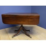 Early C19th mahogany pedestal Pembroke table with a drawer on swept reeded quadruped legs to brass