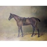 Oil on canvas, Study of a C19th style bay horse in stable, signed J Campion to the rug on the stable