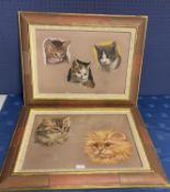 Pair of pastels cat portraits, by Parker, signed, one framed and glazed, the other framed,