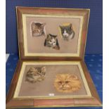 Pair of pastels cat portraits, by Parker, signed, one framed and glazed, the other framed,