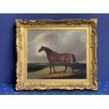 C18th/C19th, English School, Oil on canvas, "Horse in a Landscape", 49.5 x 59.5cm in gilt frame,