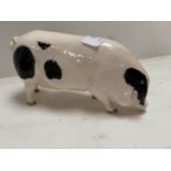 Beswick White Pig, and Doulton Gloucester Old Spot Pig