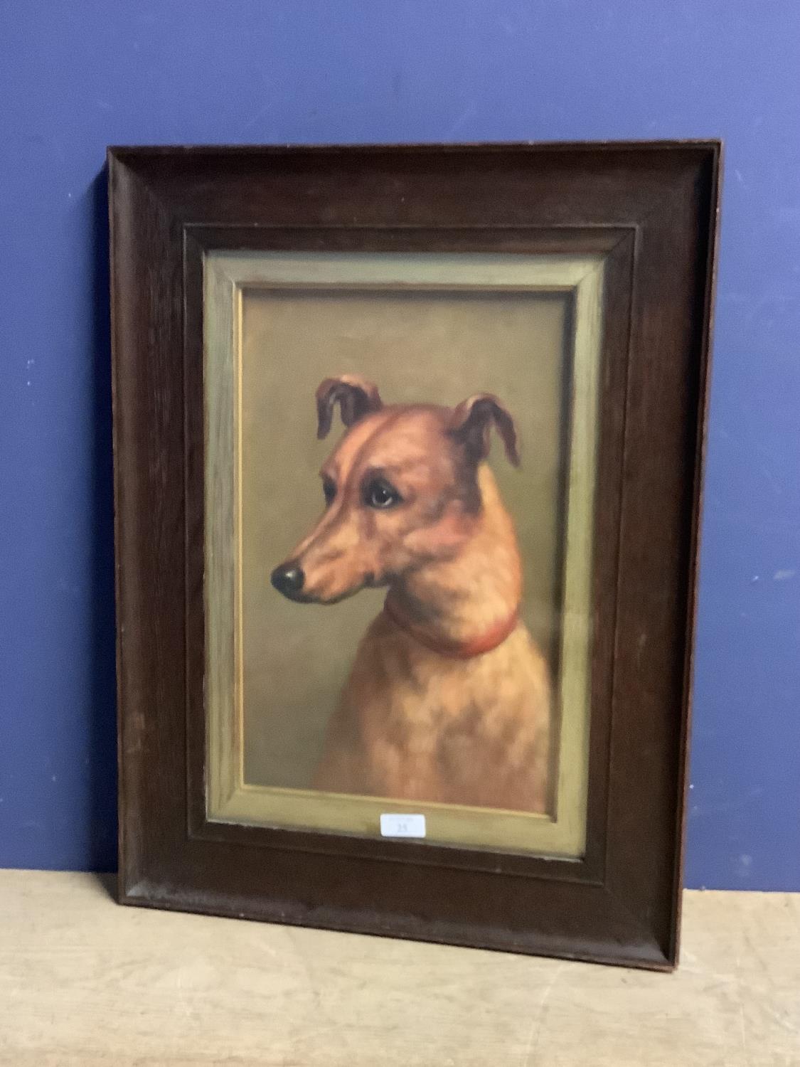 Framed oil painting study of a Lurcher dog 39cm x 25cm