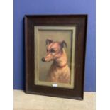 Framed oil painting study of a Lurcher dog 39cm x 25cm