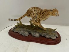 Border Fine Arts Cheetah