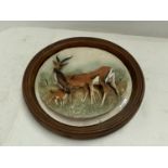 Wall plate of African Deer set in wooden mount