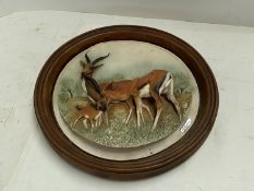 Wall plate of African Deer set in wooden mount