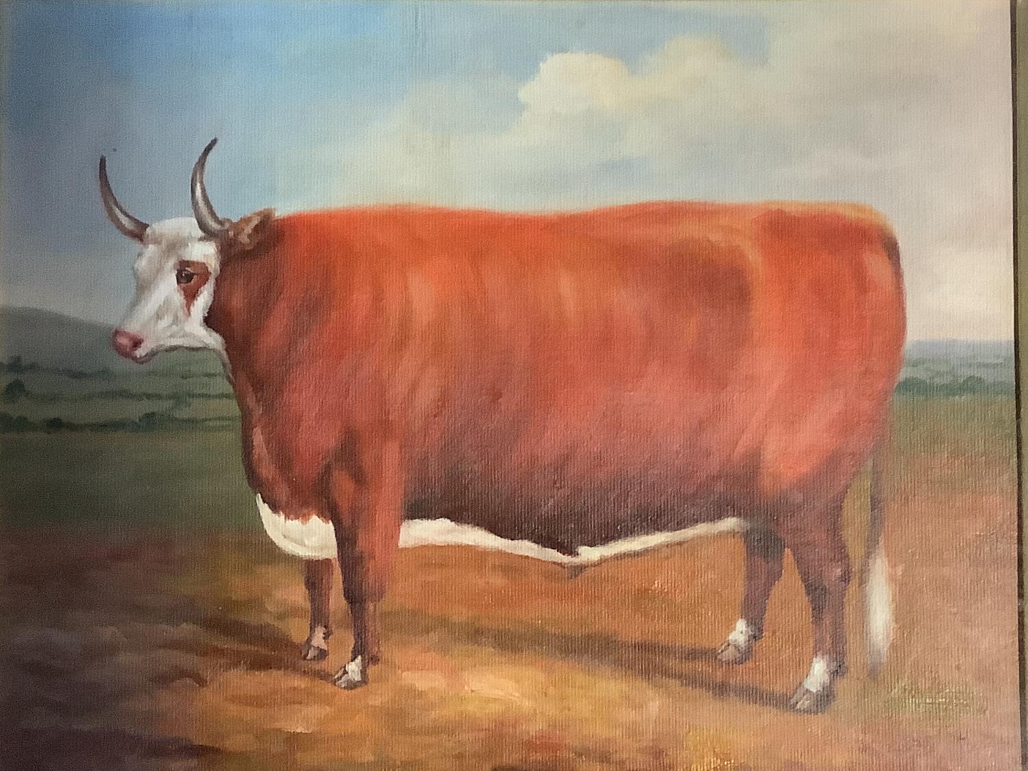 Oak framed oil painting study of a horned Hereford bull 31cm x 40cm - Image 3 of 5