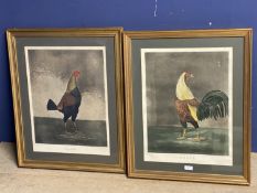 Reproduction prints of a pair of fighting cocks , "War & Peace", 51 x 39, framed and glazed
