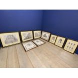A quantity of framed and glazed prints of architectural and classical themes