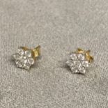 Pair of diamond clusters earrings