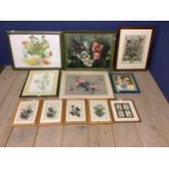 Qty of framed, and framed & glazed prints of botanical interest & a set of 4 in faux bamboo frames
