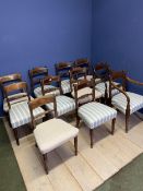 Good harlequin set of 12 Regency mahogany dining chairs (8striped, 4 oatmeal upholstery)