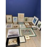 Quantity of pictures and prints