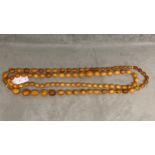Large honey coloured amber graduated bead necklace, and a smaller honey coloured amber graduated