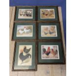 Set of 6 framed and glazed prints depicting chickens and cockerels Provenance, consigned by the Roux