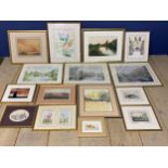 Quantity of framed and glazed pictures and prints, botanical interest etc