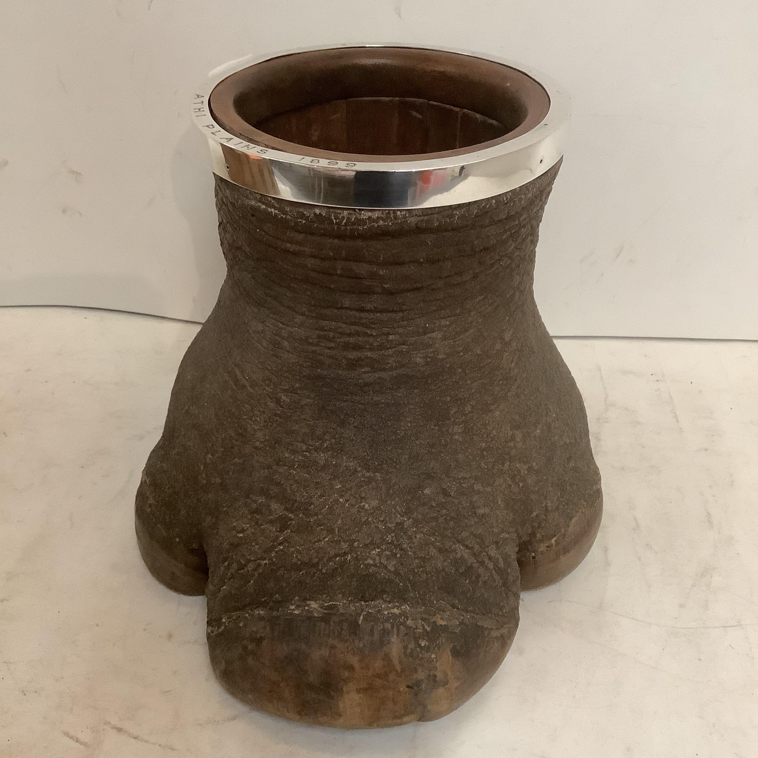 Taxidermy Rhino foot, converted to a stand, with silver hallmarked collar, engraved ATHI PLAINS - Image 2 of 6