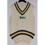 Peter John Hartley. Warwickshire, Yorkshire & Hampshire 1982-2000. Hampshire woollen sleeveless