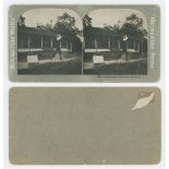 'Golf Player "Driving" the Ball'. Metropolitan Series no. 827. Pair of original sepia stereoscopic
