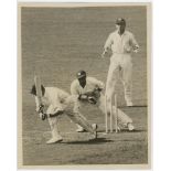 Walter Reginald Hammond. Gloucestershire & England 1920-1951. Original sepia press photograph of